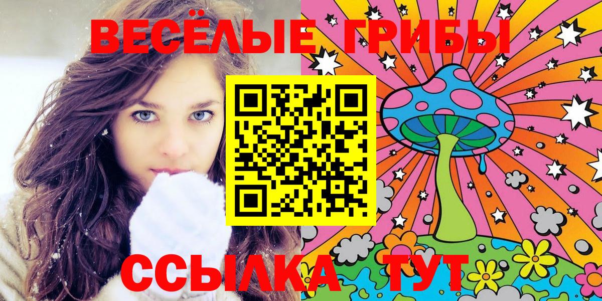 Галлюциногенные грибы Psilocybine cubensis Ивантеевка